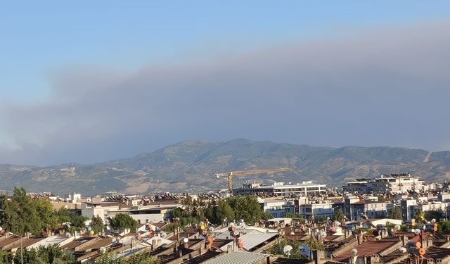 Çine yangının dumanları Efeler’e ulaştı