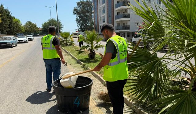 Aydın Büyükşehir Belediyesi’nin çalışmaları ile kentin yeşil alanları pırıl pırıl oluyor