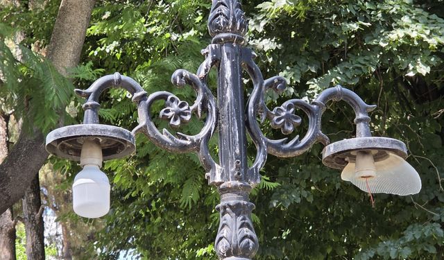 Nazilli'de kamu malına zarar tepki çekiyor
