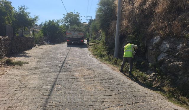 Başkan Çerçioğlu öncülüğünde yeşil alanlarda kapsamlı bakım ve düzenleme çalışması