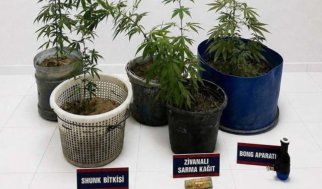 Operasyonda 3 şüpheli gözaltına alındı