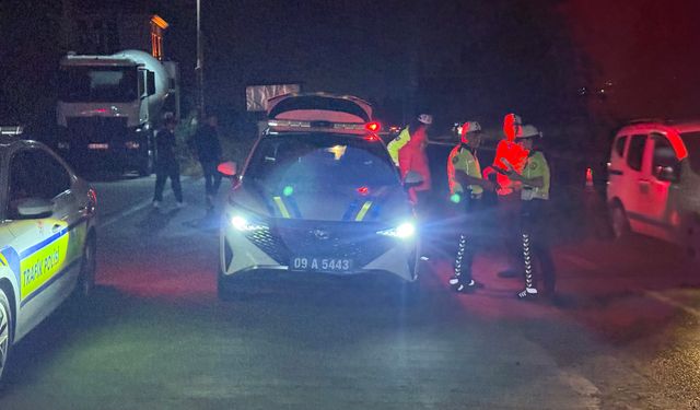 Domuza çarpmamak için manevra yaptı, takla attı