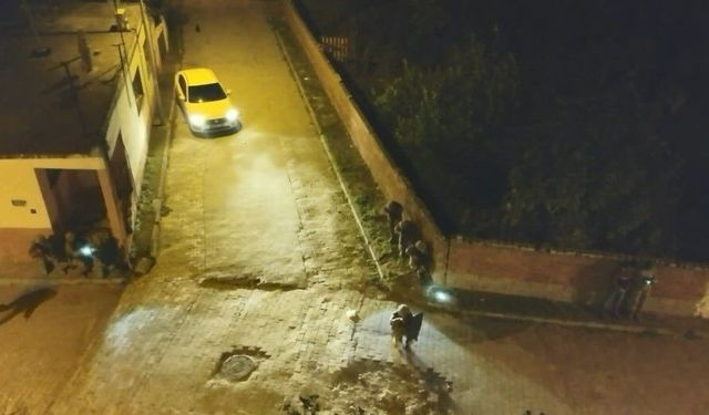Aydın merkezli 3 ilde, 63 adrese uyuşturucu operasyonu