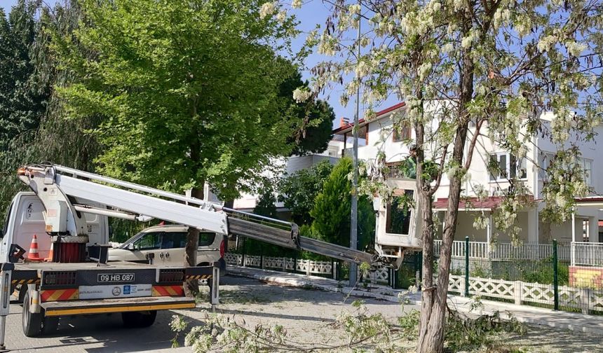 Aydın Büyükşehir Belediyesi'nin çalışmaları sürüyor