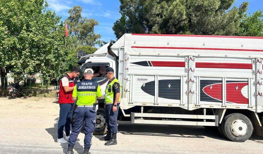 Eksik evrakla canlı hayvan taşıyan 2 kişi cezadan kaçamadı