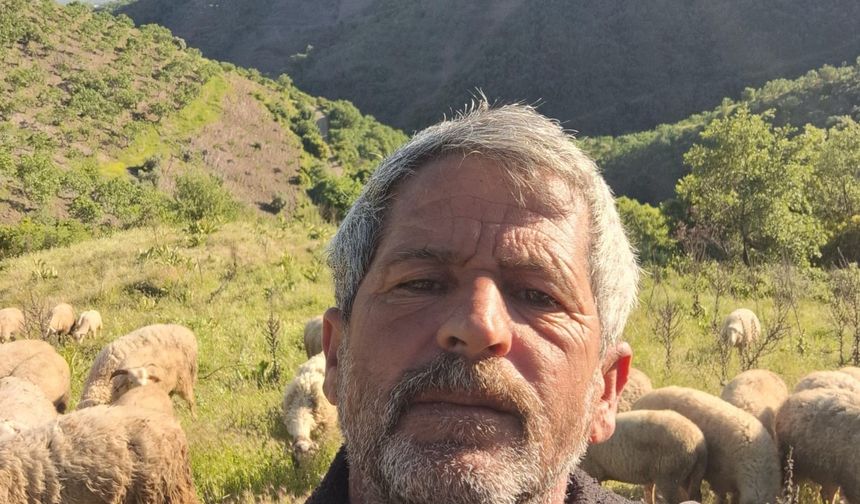 Aydın’da Yörüklerin yayla yolculuğu başladı