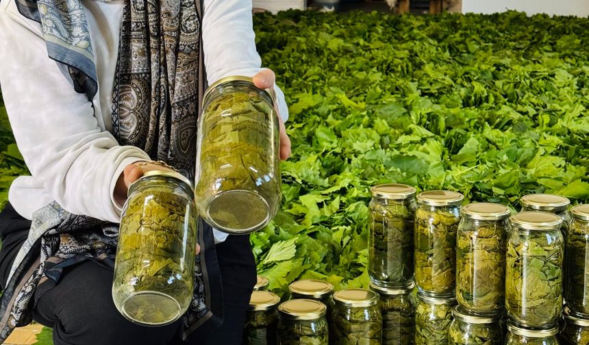 15 Kiloyla Başladı, 20 Tonla Devam Ediyor: Sevgül Batur Rekora Koşuyor