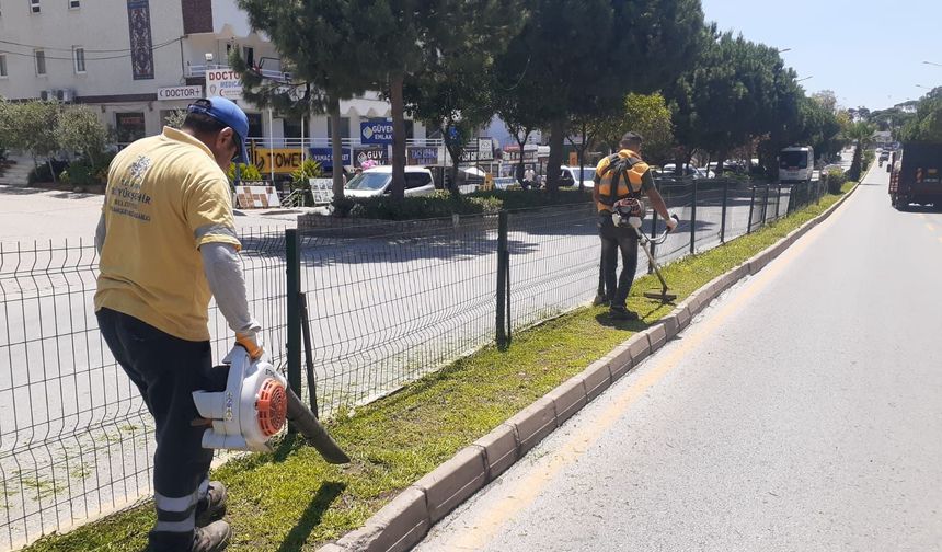 Başkan Çerçioğlu’ndan Aydın'a yeşil dokunuş