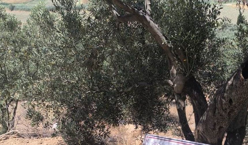 Kaçak kazı yapan 6 şüpheli suçüstü yakalandı