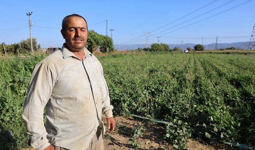 Aydın'da su kıtlığı çiftçilerin mesai saatlerini değiştirdi