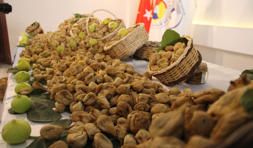 Aydın'da sezonun ilk kuru inciri 800 liradan satıldı