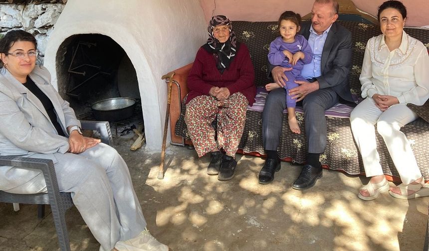 Koca çınara pasta kesildi