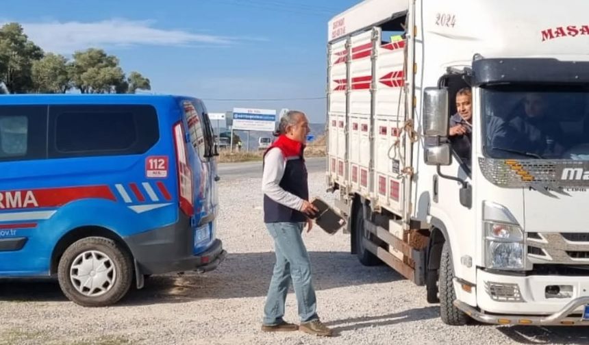 Karpuzlu’da hayvan sevkiyatına denetim
