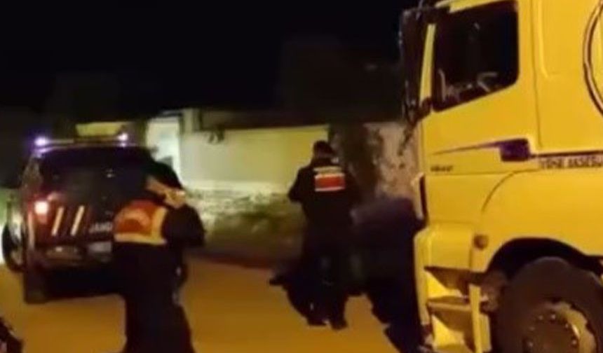 Aydın’da pasaportsuz hayvan sevkiyatına 1,2 milyon TL ceza