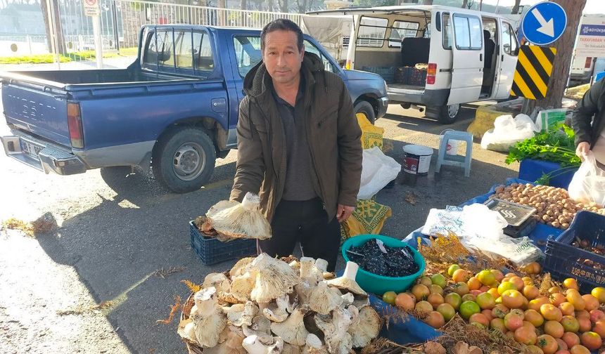 Aydın'daki dev mantarlar pazarda ilgi odağı oldu