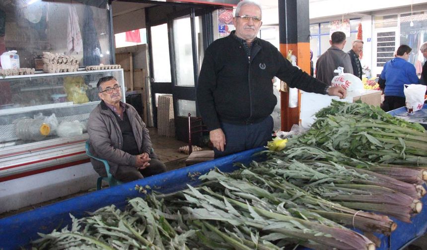 Karaciğer dostu enginar pazarda yoğun ilgi görüyor