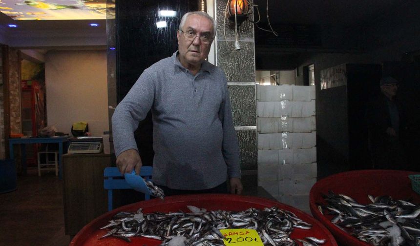 Bozdoğan'da balık tezgahlarının en çok tercih edilen çeşidi hamsi oldu