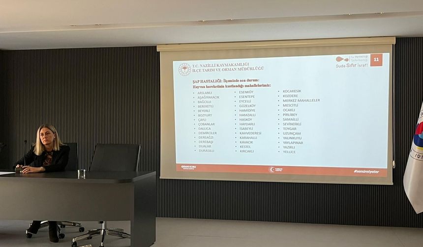 Duyarlılık ve erken müdahale sonuç verdi, Nazilli’de orman yangınları yarı yarıya azaldı