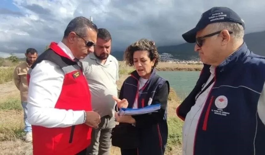 Aydın'da yasa dışı avcılığa geçit verilmiyor