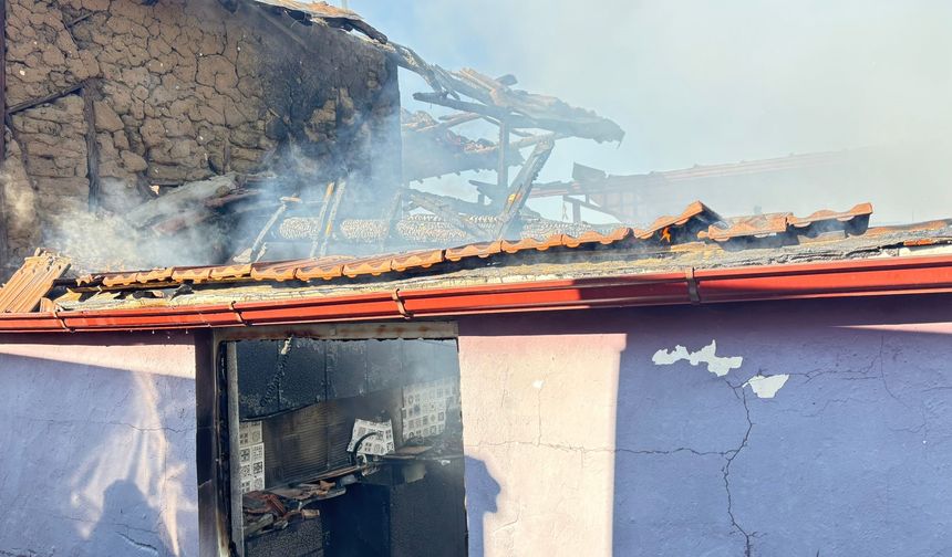 Bozdoğan'da ev alevlere teslim oldu