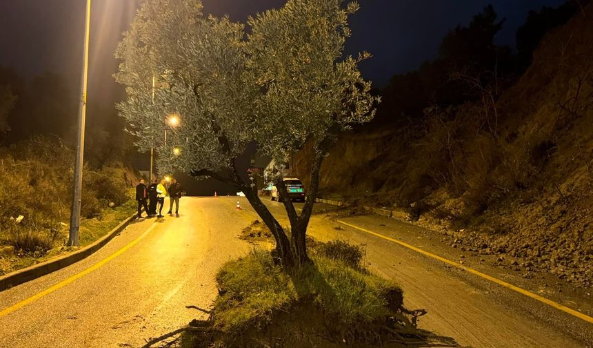 Dağdan kopan zeytin ağacı karayolunu ikiye böldü