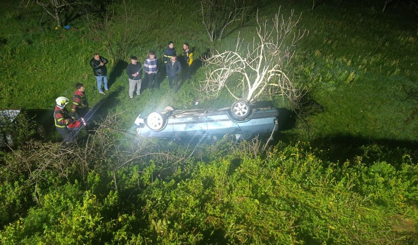 Domuza çarpan otomobil uçuruma yuvarlandı