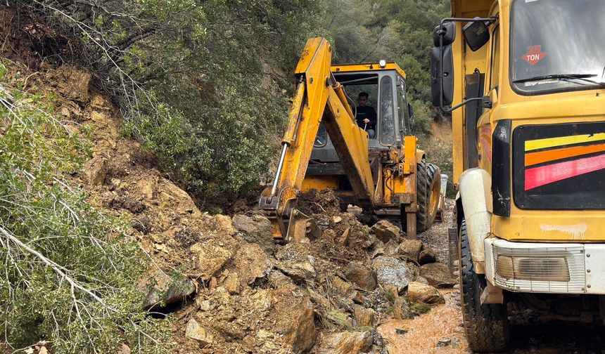 Karacasu'da aşırı yağışlar sonrası toprak kaydı, ağaçlar devrildi