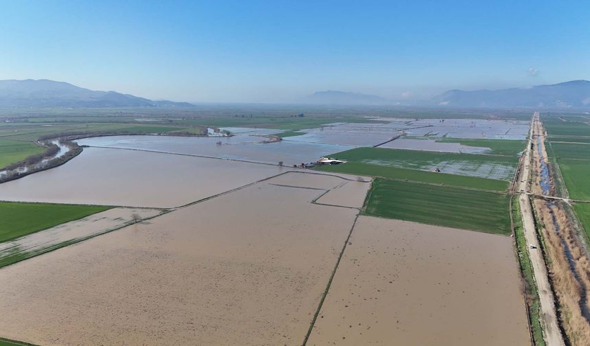 Menderes taştı, yüzlerce dönüm sular altında kaldı