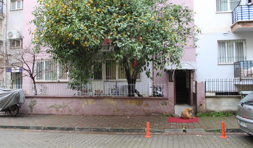 Yakınları haber alamadı, yatağında ölü bulundu