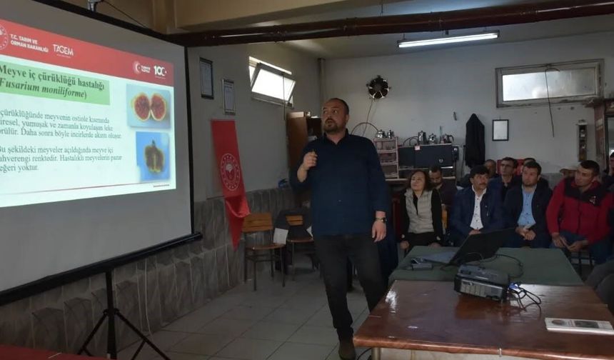 Aydın İnciri için bilimsel seferberlik Yenipazar'da sürdü
