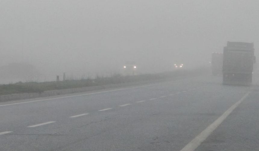 Aydın'da sis sürücülere zor anlar yaşatıyor