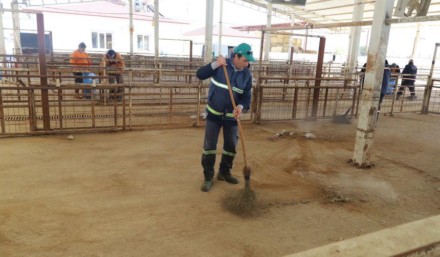 Nazilli Hayvan Pazarı 7 ay sonra yeniden açılıyor