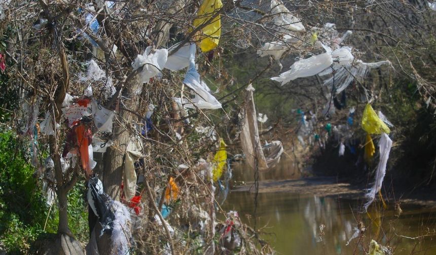 Aydın’ın içme suyunu karşılayacak Sarıçay’da kirlilik alarmı