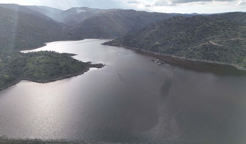 Aydın'da yağmurlar bereket getirdi, barajlar canlandı