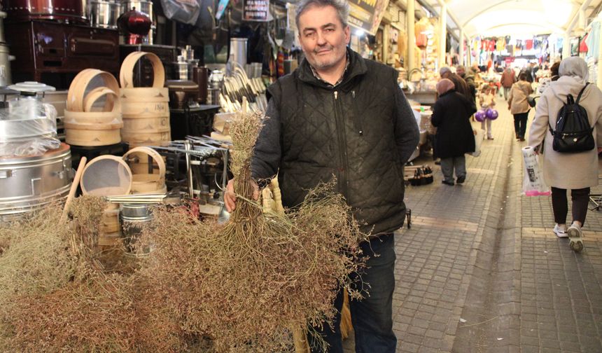 Çalı süpürgesi teknolojiye direniyor