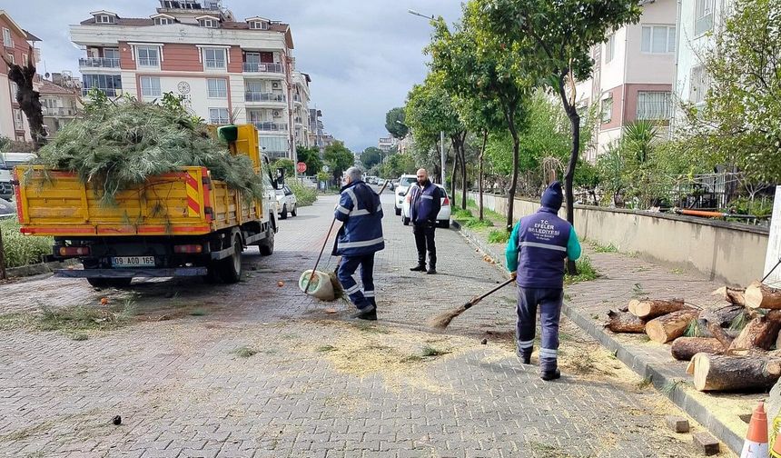 Üzerine ağaç devrilen park halindeki araç zarar gördü