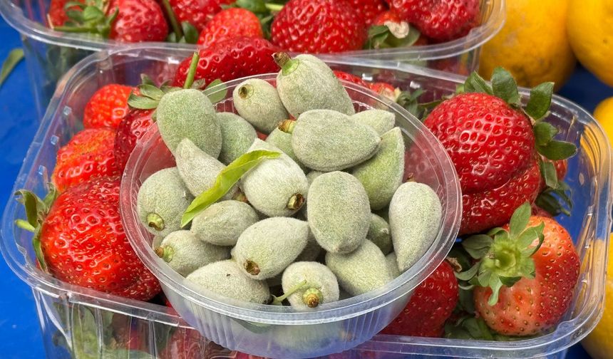 Nazilli Perşembe Pazarında baharın habercisi çağla tezgahlarda