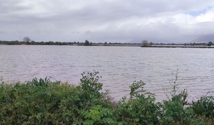 Aydın'da sular altında kalan arazilerde kesin zarar tespiti yapıldı