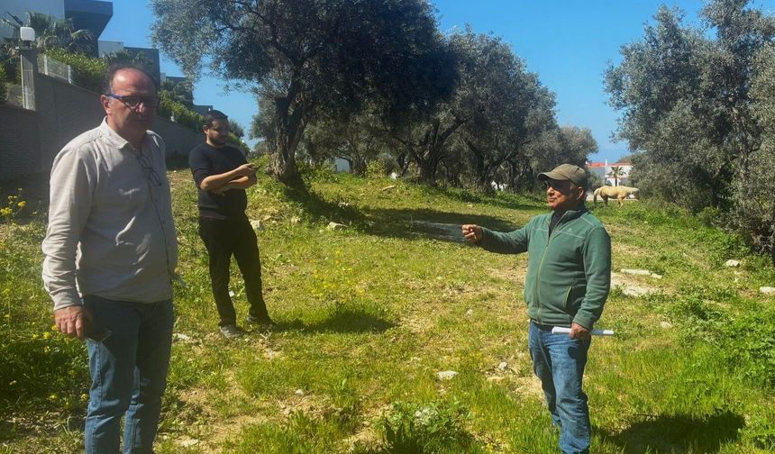 Endemik Tülüşah için inceleme yaptılar