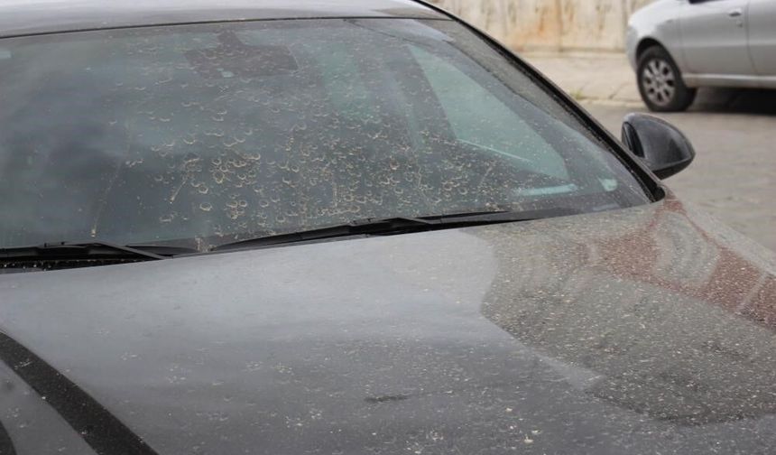 Aydın’da toz taşınımı bekleniyor