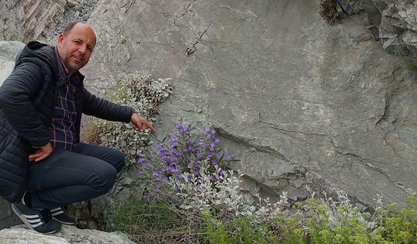 Dünyada sadece Aydın'da yetişen 'Küçük Çan' yok olma tehlikesiyle karşı karşıya