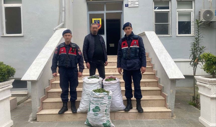 İncir bahçesinde jandarmadan suçüstü