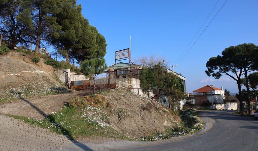 Üreticilere umut olacaktı, şimdi çürümeye terk edildi