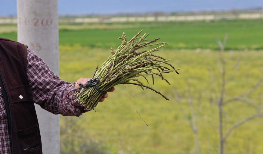 Hem sağlığını koruyor, hem de paylaşmanın mutluluğunu yaşıyor