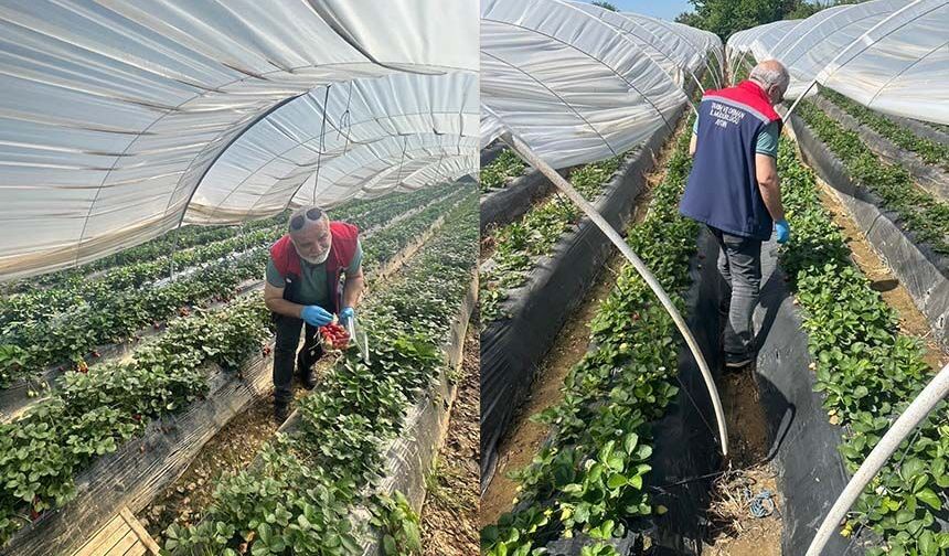 Köşk'ten Sultanhisar'a çapraz denetim