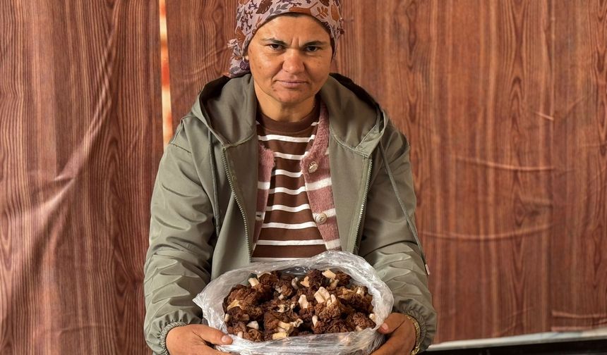 Doğanın lezzeti cep yakıyor