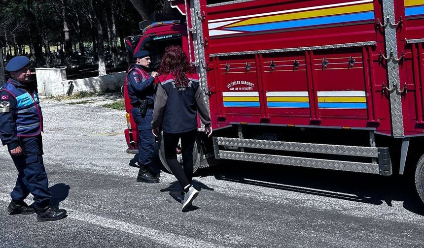 Kurbanlık denetimi