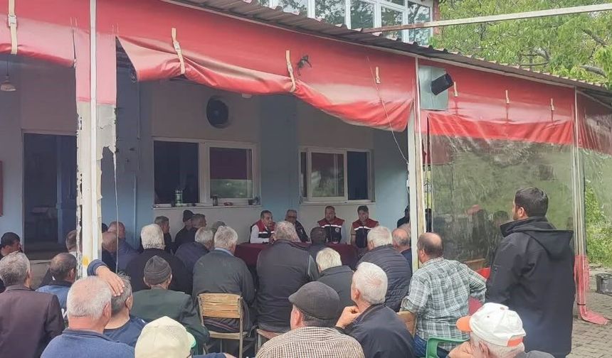 Aydın'da dolu vurdu, zarar gören tarım arazileri yerinde incelendi