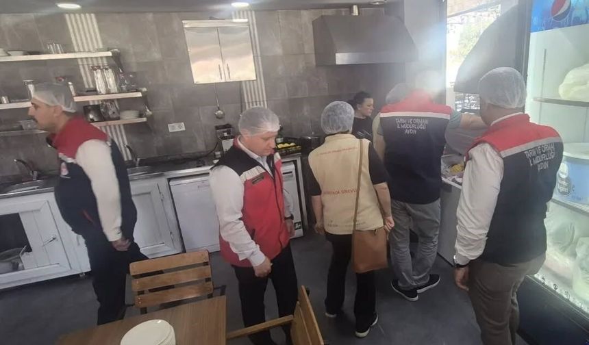 Aydın’da çöp şiş işletmelerine sıkı denetim
