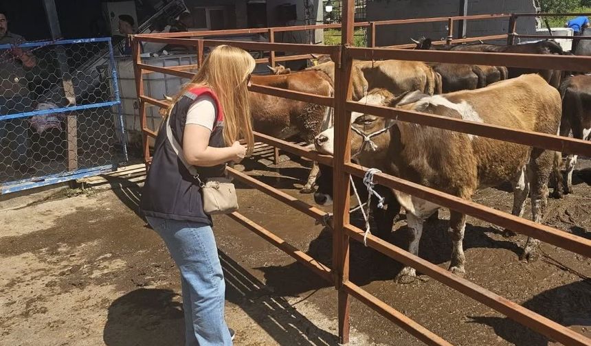 Aydın’da Kurban Bayramı denetimleri aralıksız sürüyor